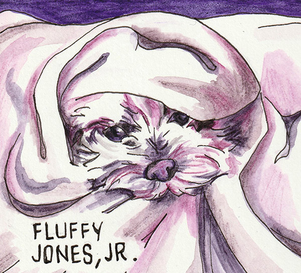 Fluffy Jones, Jr.